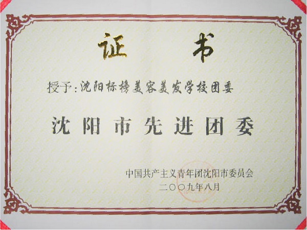 我校团委获得沈阳市先进团委荣誉称号.jpg